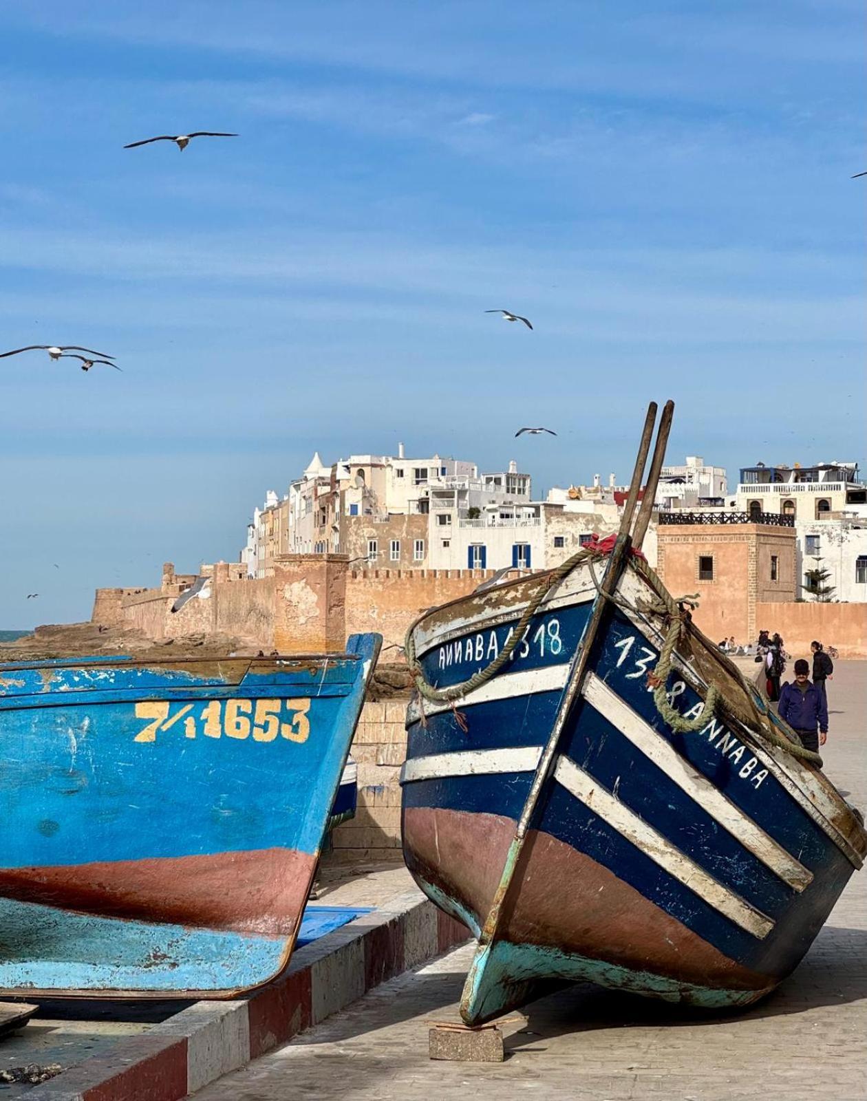 Le Clos De La Roussiere Essaouira Extérieur photo